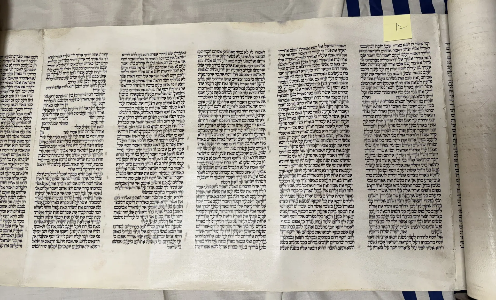 A sheet of parchment laid flat, showing five columns.